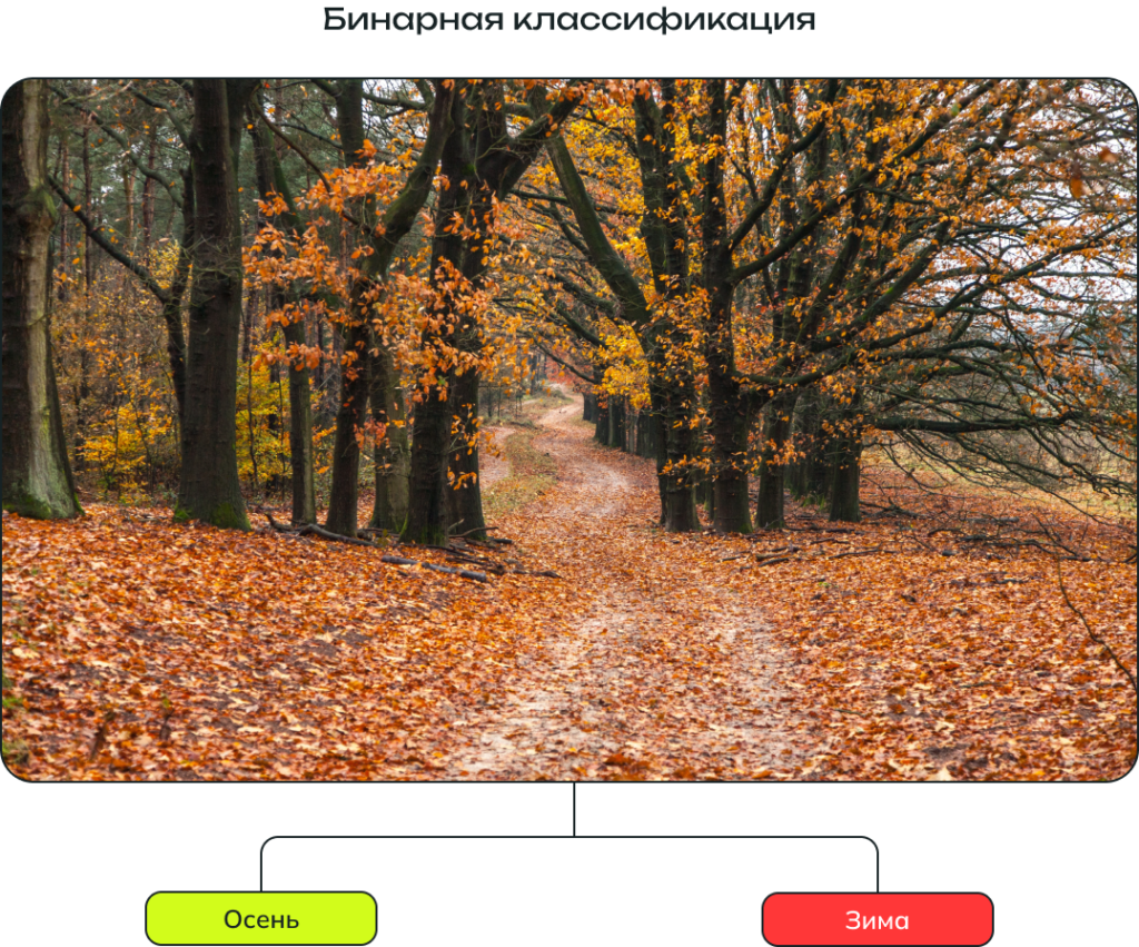 Бинарная классификация изображений